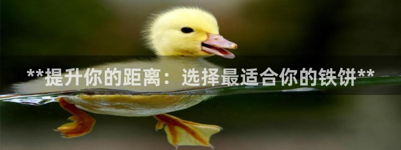 耀世娱乐登录注册：**提升你的距离：选择最适合你的铁