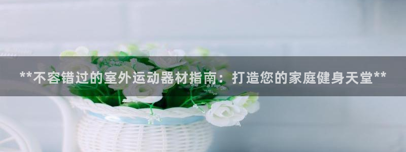 耀世来袭什么意思：**不容错过的室外运动器材指南：打