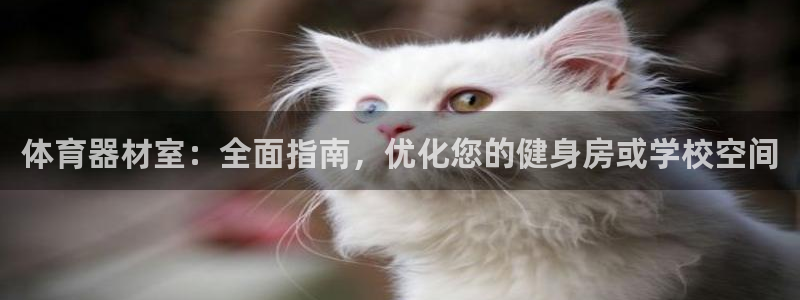 耀世天下的近义词是什么：体育器材室：全面指南，优化您