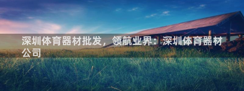 耀世娱乐是不是很黑暗：深圳体育器材批发，领航业界：深