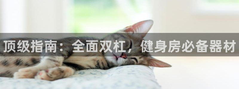 耀世盛启什么意思：顶级指南：全面双杠，健身房必备器材
