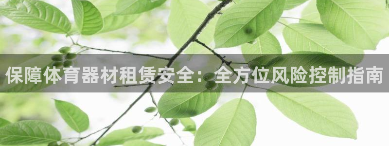 耀世娱乐返点：保障体育器材租赁安全：全方位风险控制指