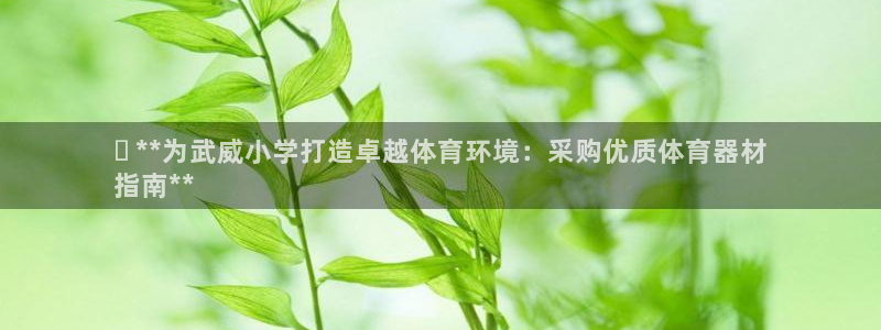 耀世集团小视频：✅ **为武威小学打造卓越体育环境：