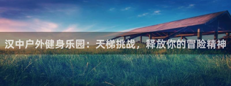 耀世娱乐如何登录平台账号：汉中户外健身乐园：天梯挑战