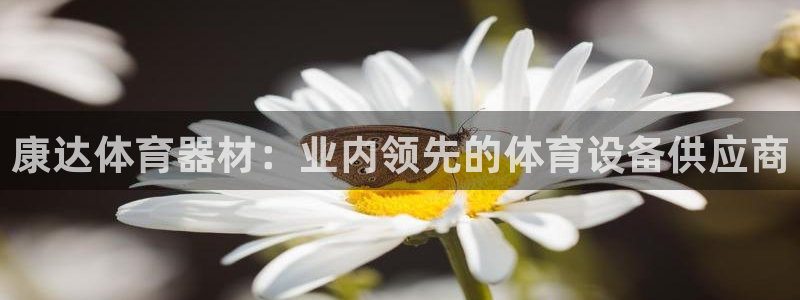 耀世平台代理注册登录不了：康达体育器材：业内领先的体
