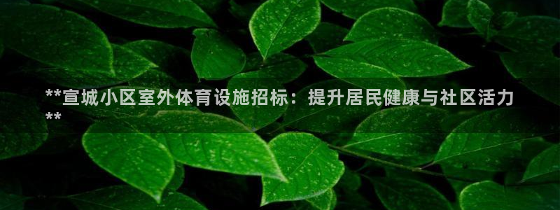 耀世娱乐是什么意思啊：**宣城小区室外体育设施招标：