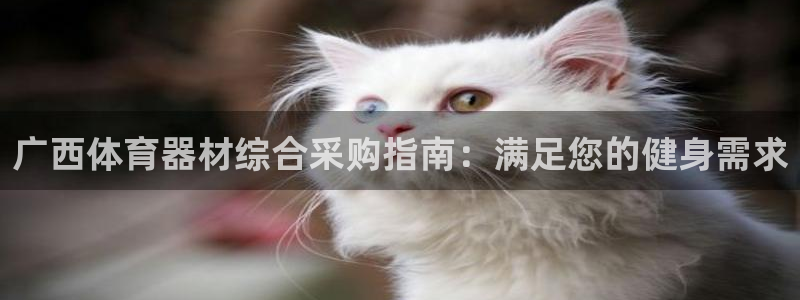 耀世娱乐官网网站：广西体育器材综合采购指南：满足您的