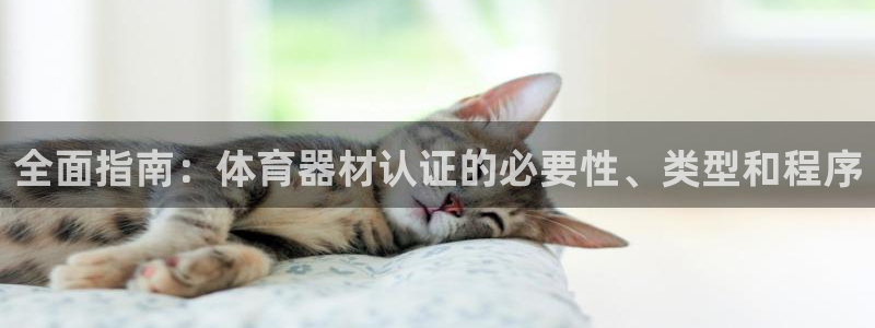 耀世娱乐官方网站入口：全面指南：体育器材认证的必要性