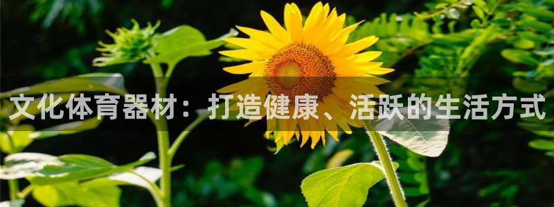 耀世挑战第三关怎么打：文化体育器材：打造健康、活跃的