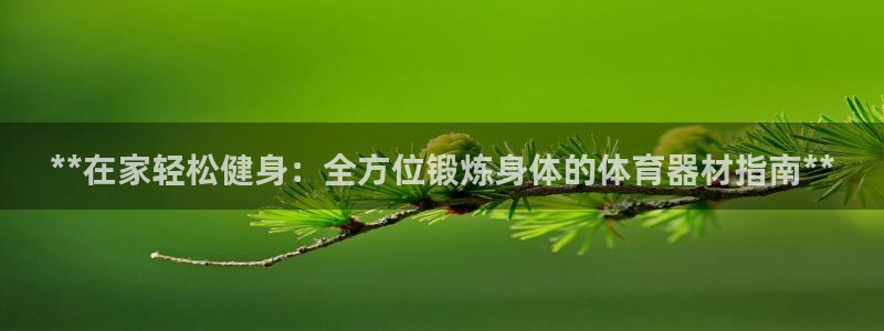耀世燃气灶是哪个牌子：**在家轻松健身：全方位锻炼身