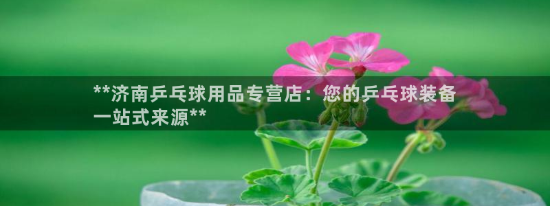 耀世而来是什么意思：**济南乒乓球用品专营店：您的乒