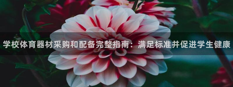 耀世平台登录地址在哪：学校体育器材采购和配备完整指南