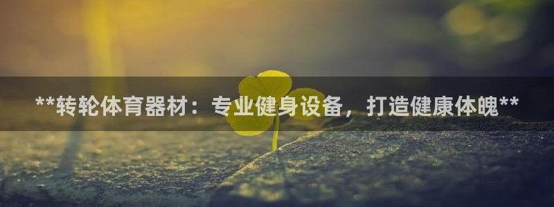 耀世娱乐骗局是真的吗：**转轮体育器材：专业健身设备