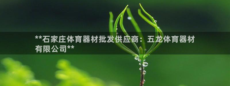 耀世平台客服24小时在线咨询热线：**石家庄体育器材