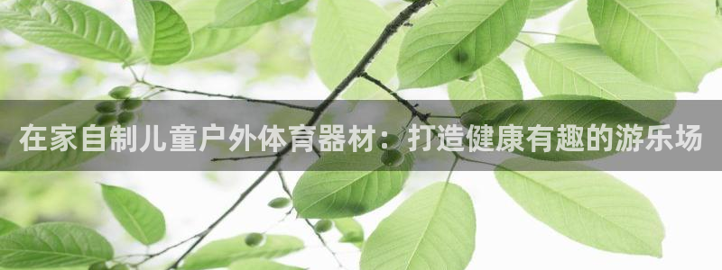 耀世平台注册流程视频：在家自制儿童户外体育器材：打造