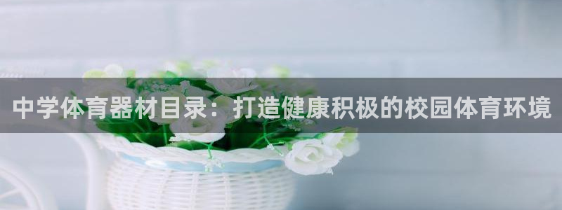 耀世平台注册网址是多少啊：中学体育器材目录：打造健康