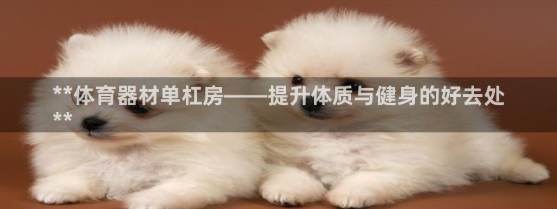 耀世天下是不是复仇的意思：**体育器材单杠房——提升