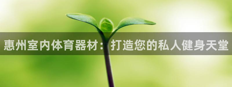 耀世娱乐注册入口官网：惠州室内体育器材：打造您的私人