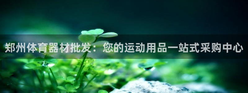 耀世平台有很多登录地址怎么回事：郑州体育器材批发：您
