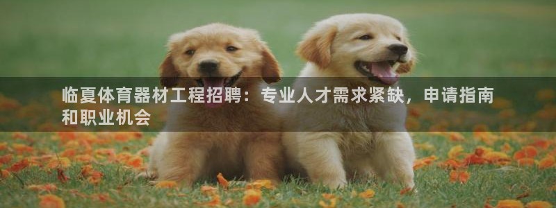 耀世国际平台正规吗安全吗可信吗：临夏体育器材工程招聘
