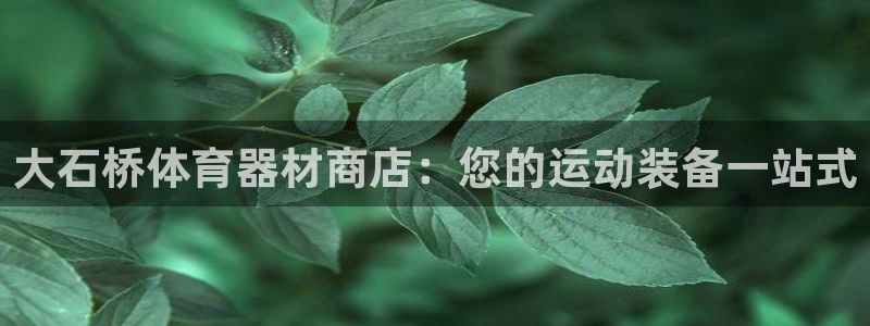 耀世登场的意思：大石桥体育器材商店：您的运动装备一站