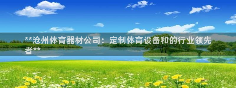 耀世娱乐安全吗可靠吗：**沧州体育器材公司：定制体育