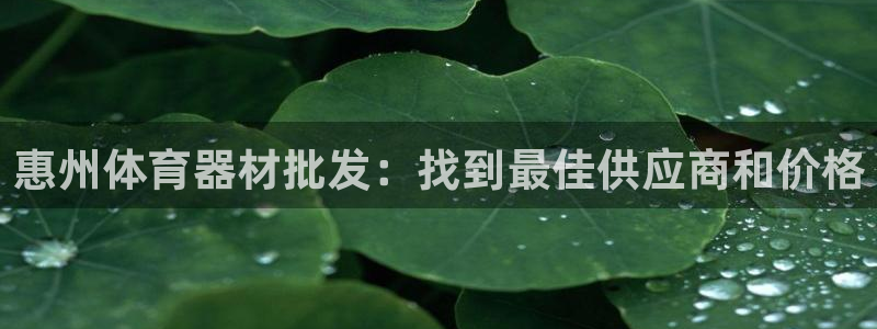 耀世平台主管代理：惠州体育器材批发：找到最佳供应商和
