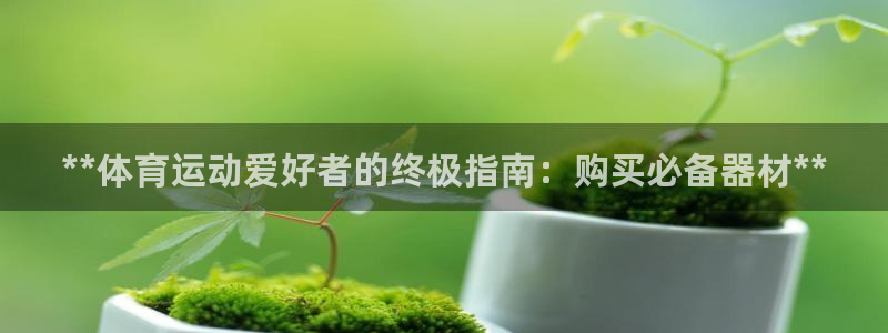 耀世娱乐脚本下载：**体育运动爱好者的终极指南：购买