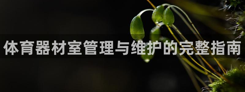 耀世娱乐老板：体育器材室管理与维护的完整指南