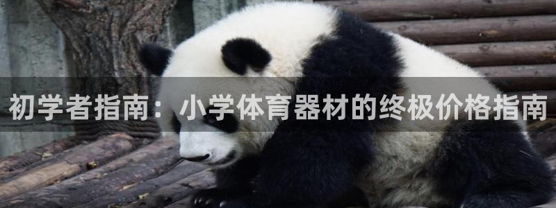 耀世娱乐的4.9.4.0.3 天乐：初学者指南：小学