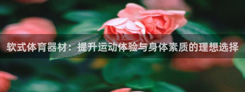 耀世平台皮皮虾怎么样：软式体育器材：提升运动体验与身