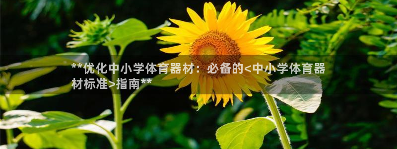 耀世出行：**优化中小学体育器材：必备的<中小学体育