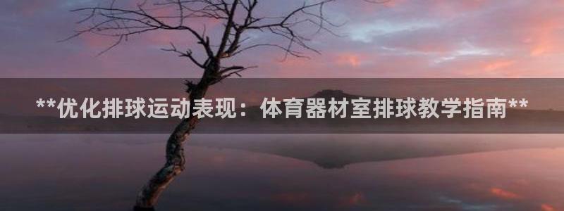 耀世集团王大聪：**优化排球运动表现：体育器材室排球