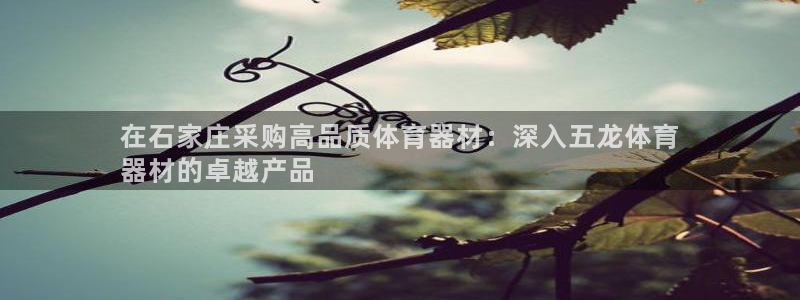 耀世娱乐平台官网：在石家庄采购高品质体育器材：深入五