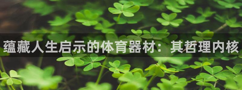 耀世平台合作 585.34I 平台：蕴藏人生启示的体育器材：