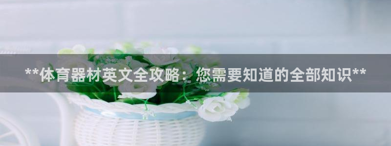 耀世娱乐在线登录官网入口下载：**体育器材英文全攻略：您需要