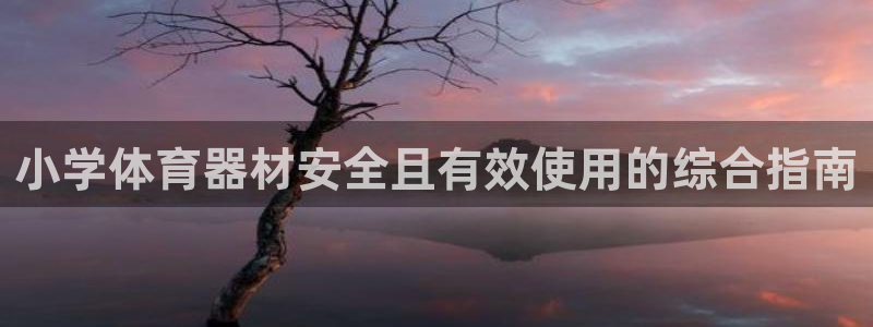耀世娱乐app下载官网：小学体育器材安全且有效使用的综合指南