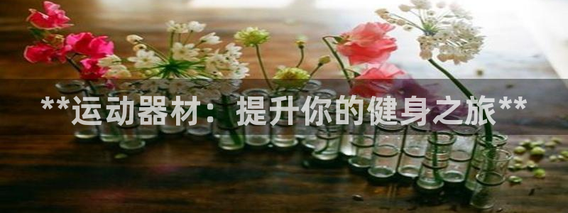 耀世集团商业联盟罗文斌：**运动器材：提升你的健身之旅**