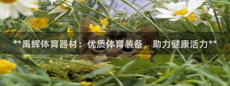 耀世娱乐客服怎么样：**禹辉体育器材：优质体育装备，