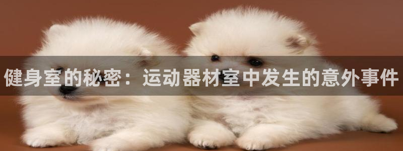 耀世辉煌：健身室的秘密：运动器材室中发生的意外事件