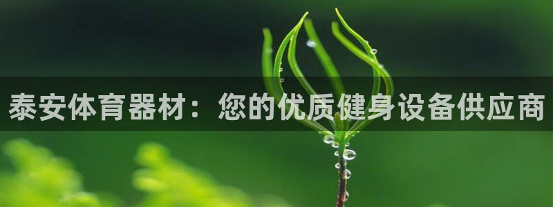 耀世集团王总简介：泰安体育器材：您的优质健身设备供应商
