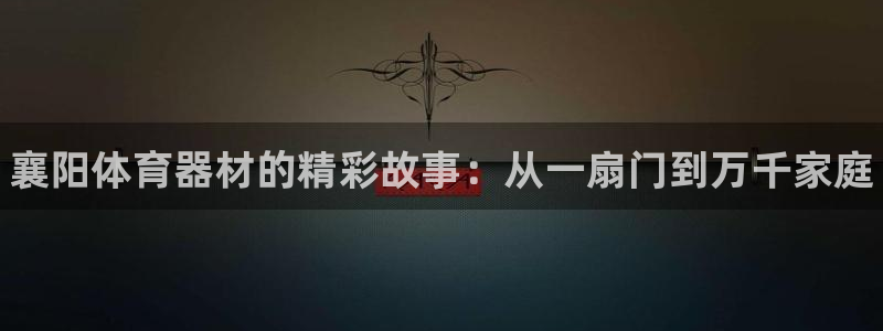 耀世平台登录地址：襄阳体育器材的精彩故事：从一扇门到