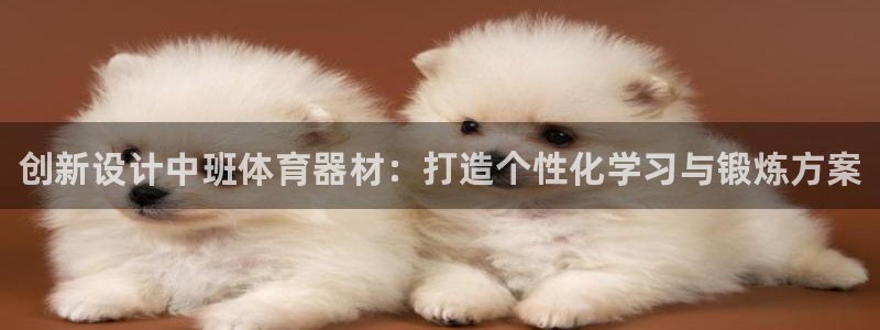 耀世娱乐是不是赚钱了：创新设计中班体育器材：打造个性