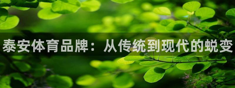 耀世娱乐招商注册 知乎是真的吗：泰安体育品牌：从传统