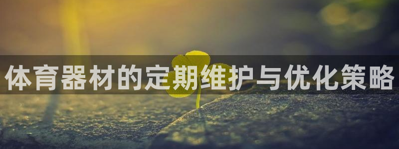 耀世娱乐app下载：体育器材的定期维护与优化策略