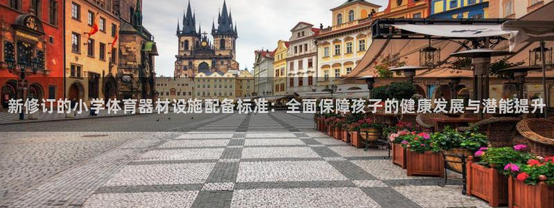 耀世娱乐佳 411O31 耀世：新修订的小学体育器材设施配备