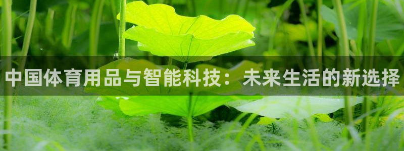 耀世是什么游戏：中国体育用品与智能科技：未来生活的新选择