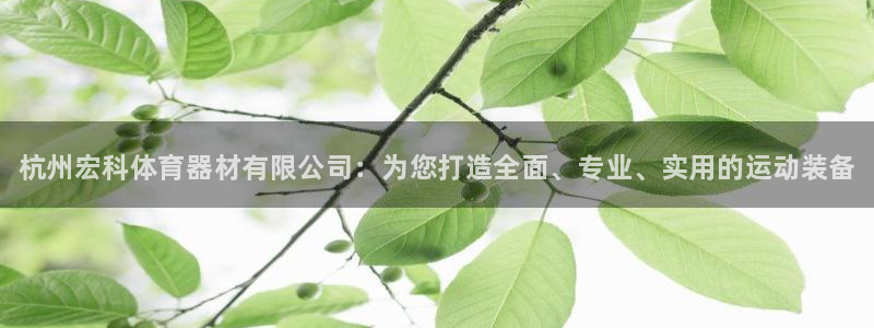耀世平台哪个彩种是公平彩的：杭州宏科体育器材有限公司：为您打