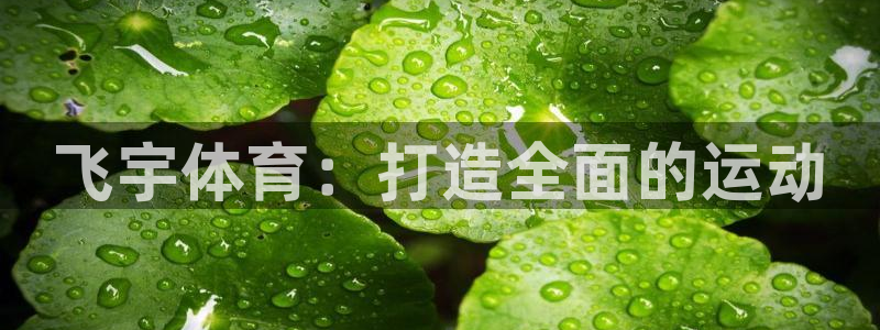 耀世娱乐总代理是谁：飞宇体育：打造全面的运动