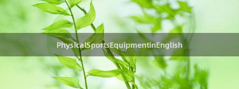 耀世集团视频：PhysicalSportsEquipment